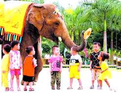 瓜哥带你吃瓜南宁动物园,跟随瓜哥一起“吃瓜”动物世界