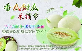 吃瓜大聚会广西,欢乐盛夏，瓜香四溢