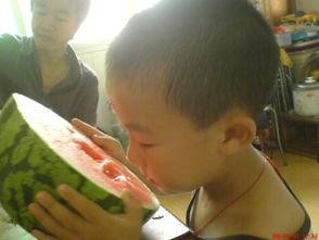 吃瓜拉新,揭秘校园里的新鲜趣事