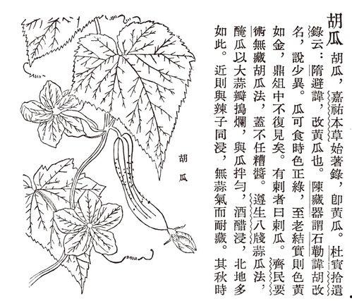 吃瓜文古代,揭秘古代宫廷秘闻