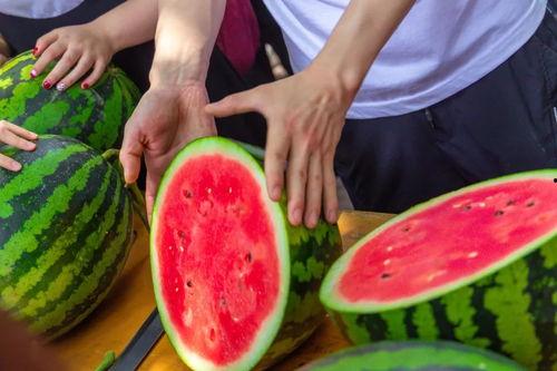 江西大学吃瓜,揭秘校园里的那些“瓜”