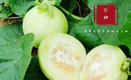 翰林吃瓜视频,揭秘娱乐圈幕后故事