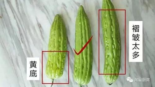 吃瓜花样大全图片,揭秘美食界的“瓜界奇观”