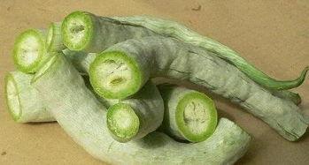 蛇瓜吃蛇瓜有什么用途,古老传说中的神秘用途揭秘